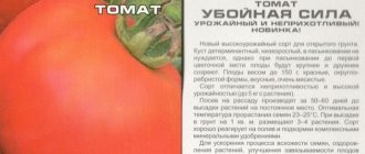 Томат манимейкер — описание и характеристика сорт | zdavnews.ru