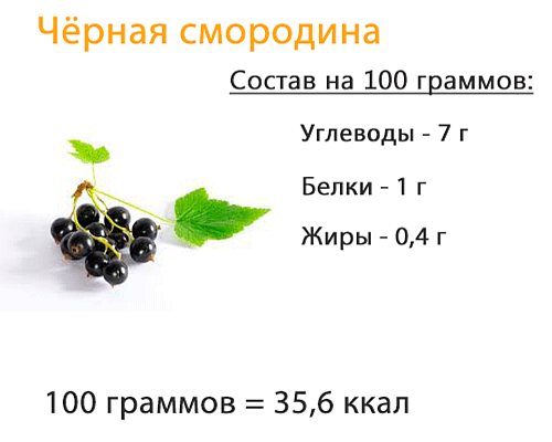 Смородина черная, красная: польза и вред ягод, как правильно есть