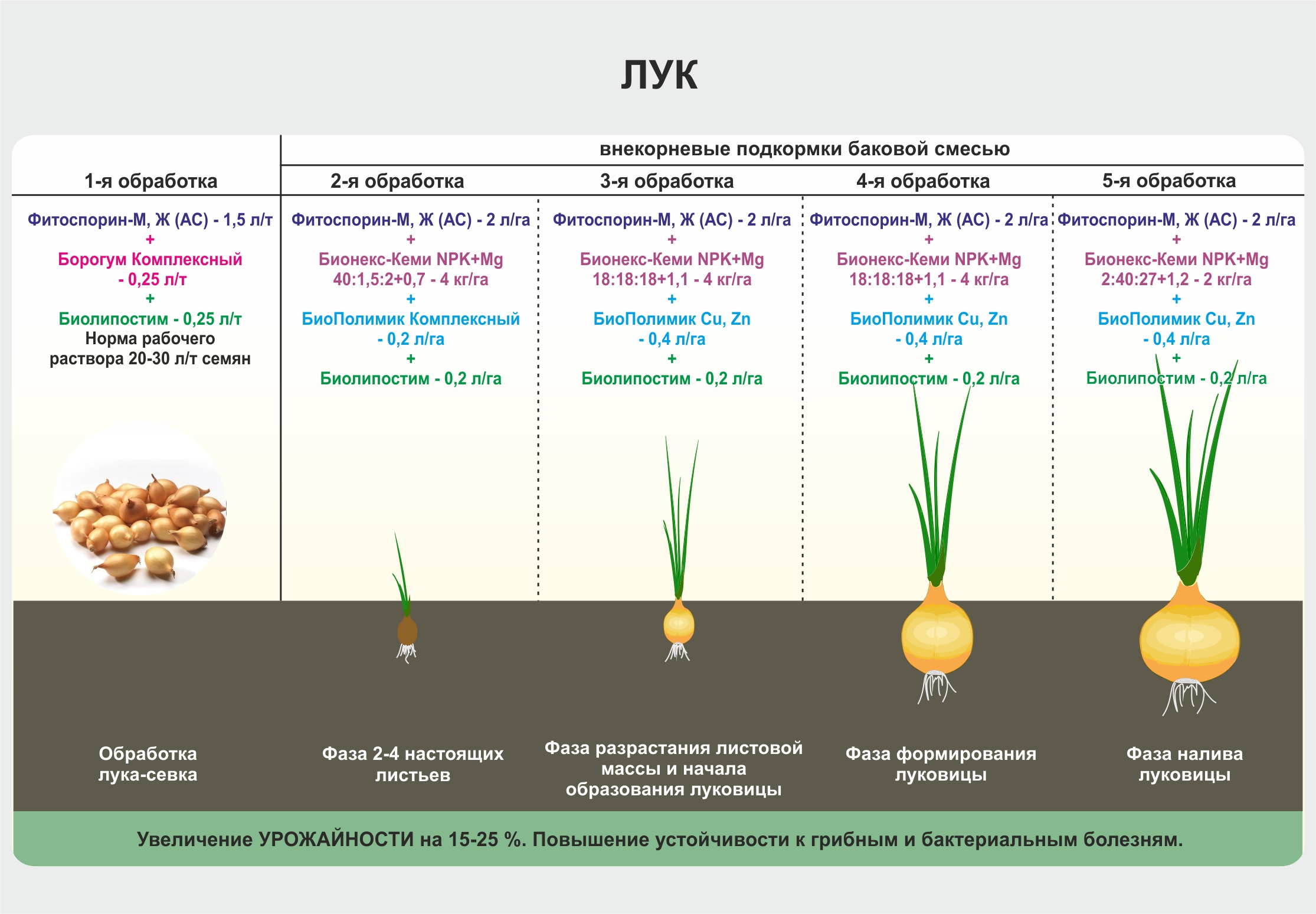 Чеснок весной подкормка после зимы