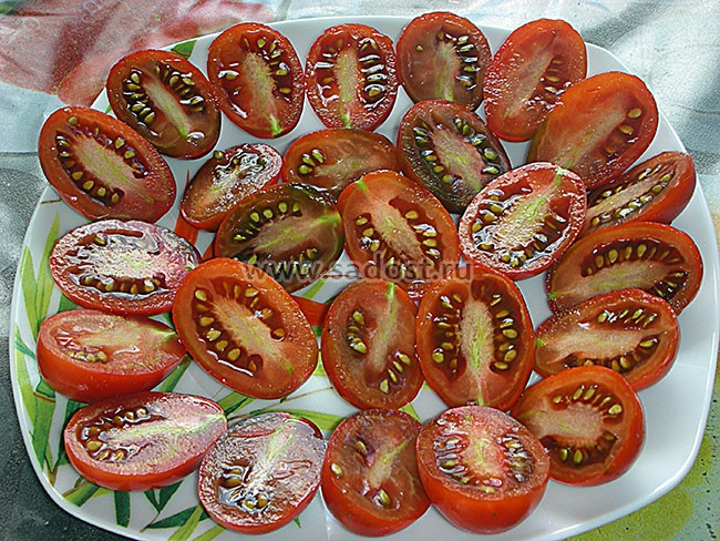 Описание томатов сорта монисто