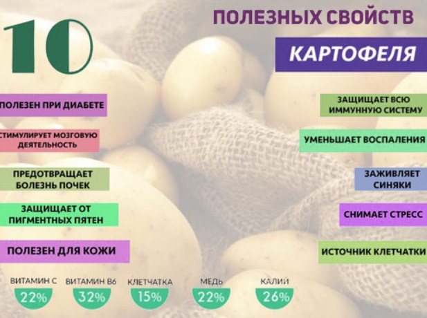 Польза и вред картофеля — 7 фактов о его влиянии на здоровье человека и противопоказания