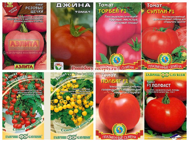Лучшие сорта помидоров для открытого грунта с фото и описанием