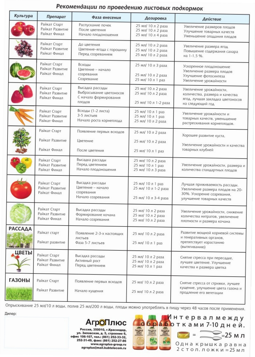 Рецепты приготовления и инструкция по применению подкормки рассады томатов и перца дрожжами