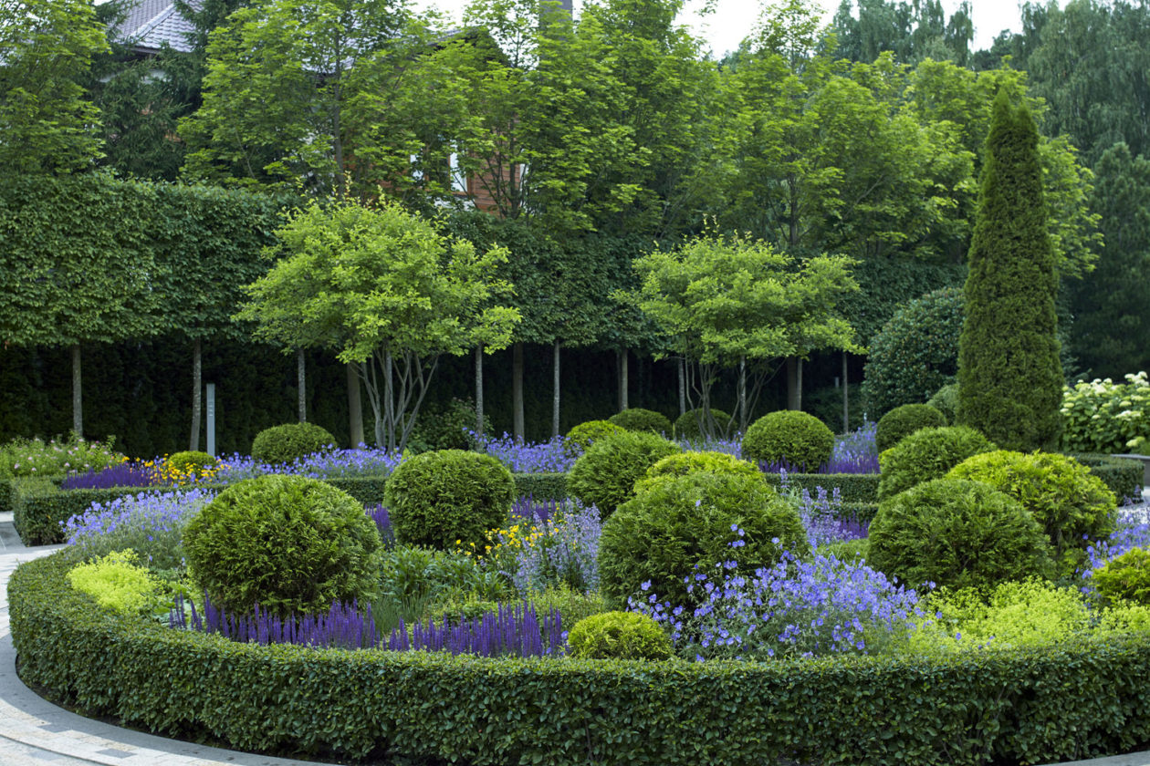 Мой зачарованный сад: как обустроить сад в английском стиле на 6 сотках