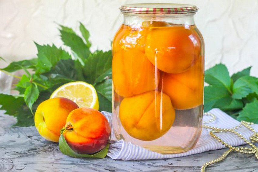 Компот из персиков на зиму: простые рецепты на 1 литровую банку
