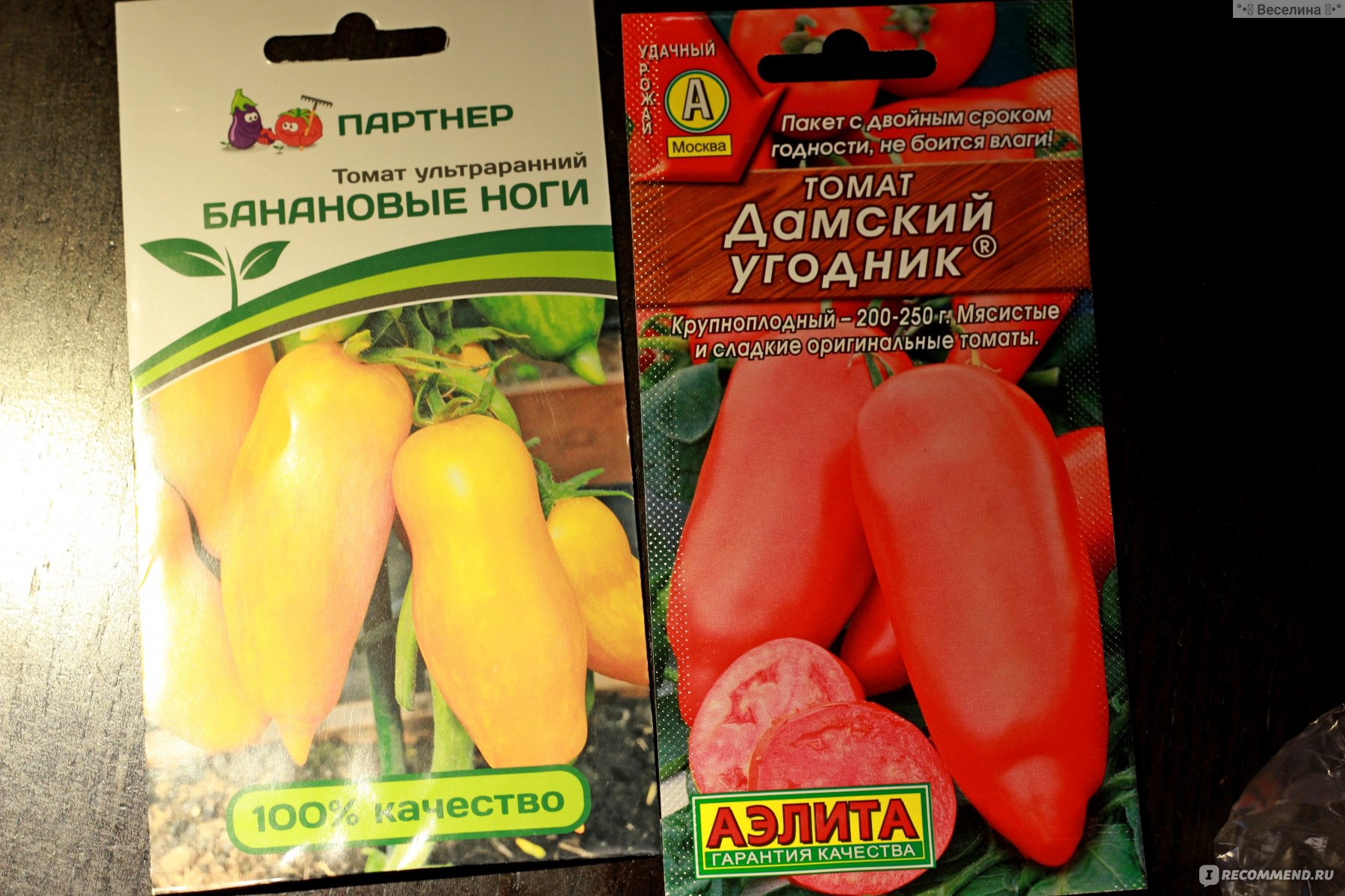 банановые помидоры фото