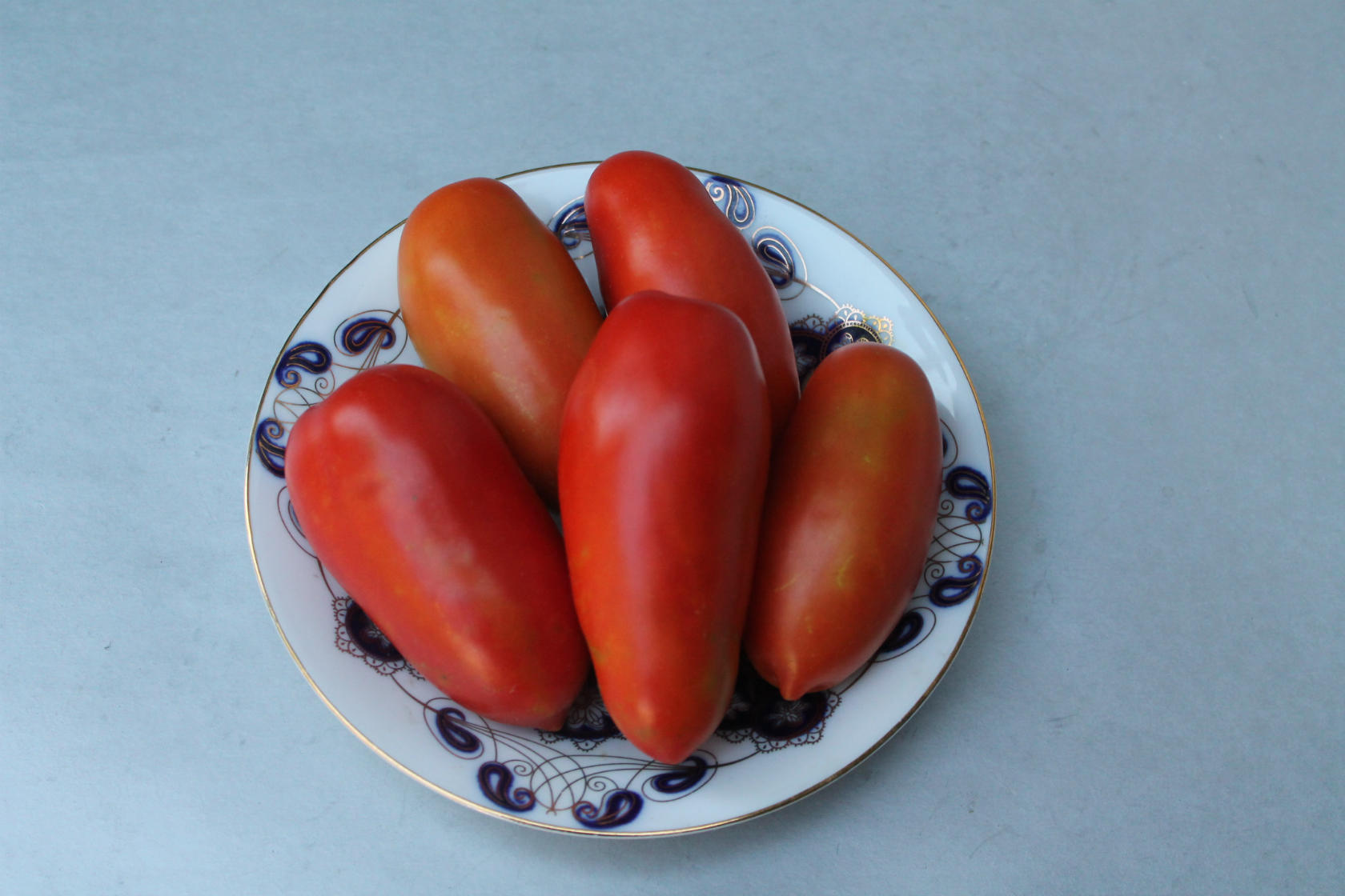 Ранняя сладость: рассказываем о томате чудо гроздь