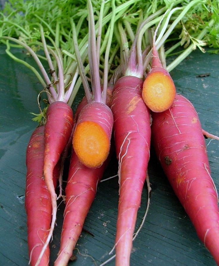 Что такое фиолетовая морковь? Какие существуют сорта и как его выращивать?