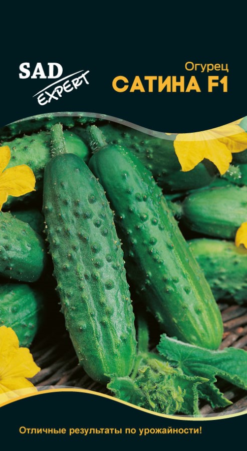 Огурец сатина f1: описание и отзывы, технология выращивания сорта и уход