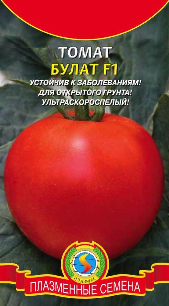 Характеристика ультрараннего гибридного томата Булат и агротехника выращивания сорта