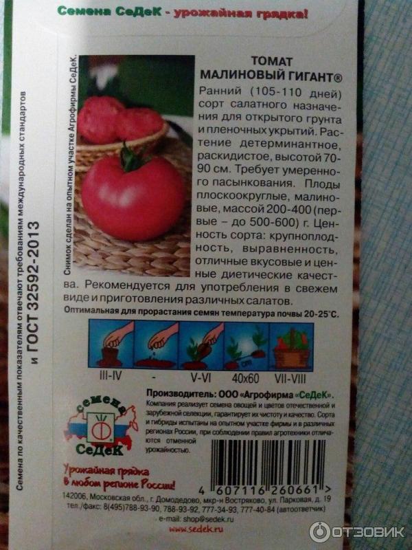 Описание сорта томата ред робин, особенности выращивания и ухода
