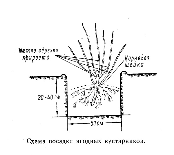 Яма подпределья схема