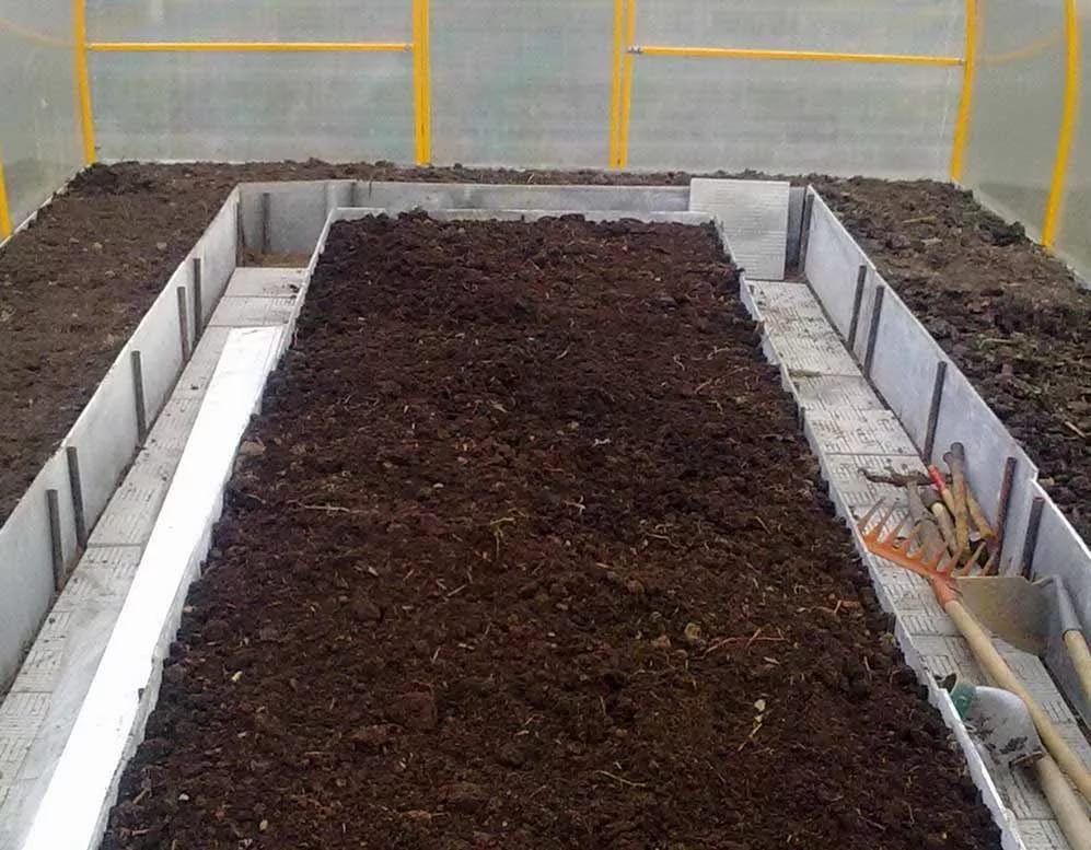 Почва для помидоров - как подготовить осенью и весной перед посадкой?