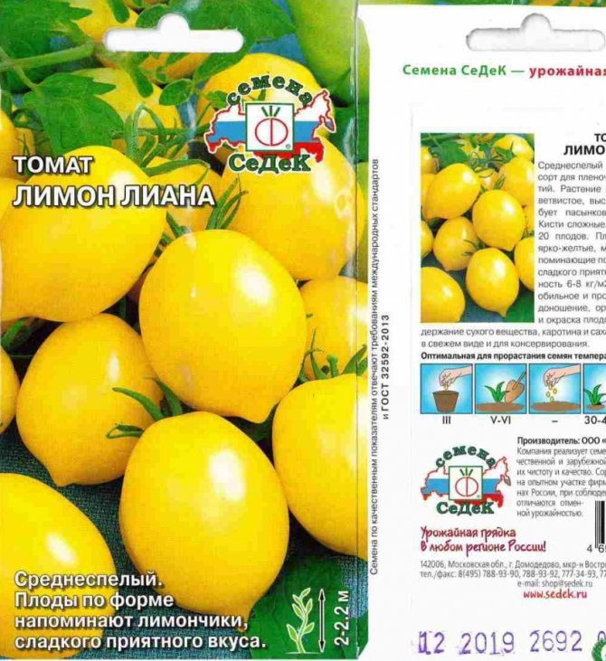 Сорт томатов "золотая канарейка": преимущества и агротехника  — vkmp