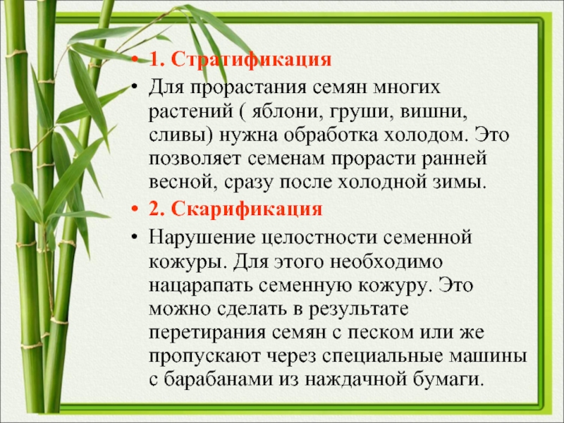 6 правил стратификации семян в домашних условиях. фото — ботаничка.ru