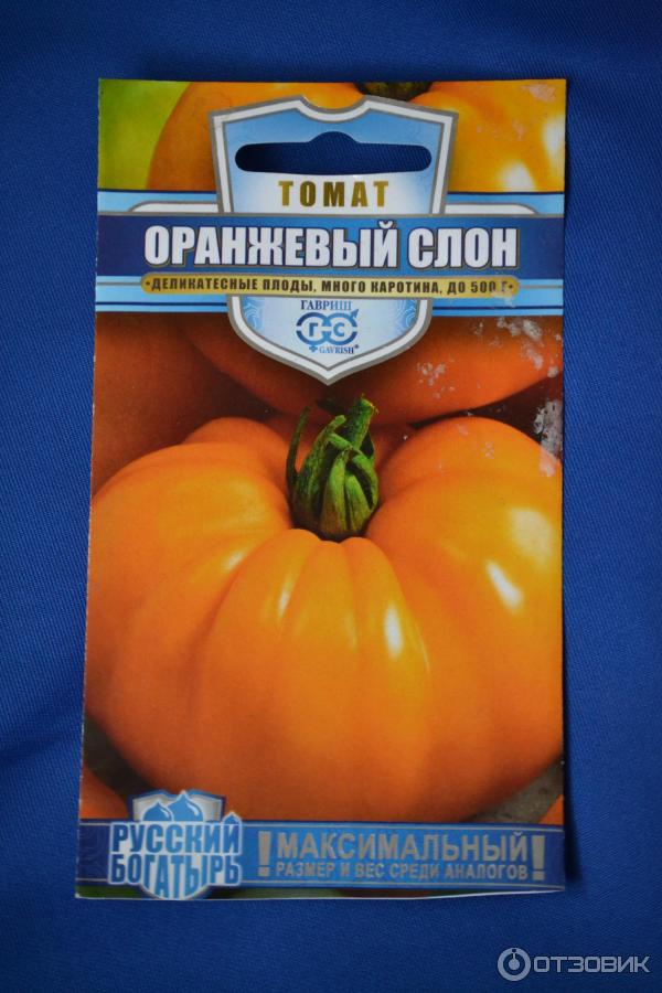 Томат оранжевый слон: отзывы, фото, урожайность | tomatland.ru
