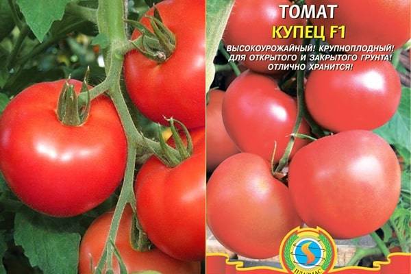 Выращивание томатов в теплице из поликарбоната от а до я: секреты хорошего урожая помидоров, особенности агротехники и полива и как правильно выбрать сорта? русский фермер