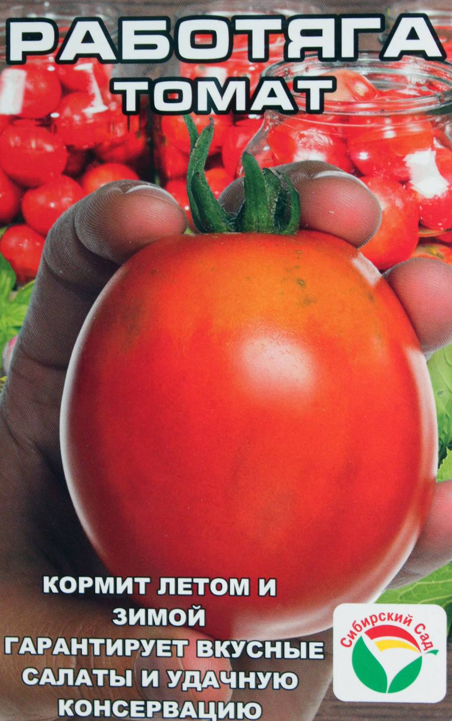 Лучшие сорта томатов: описание, характеристика, фото