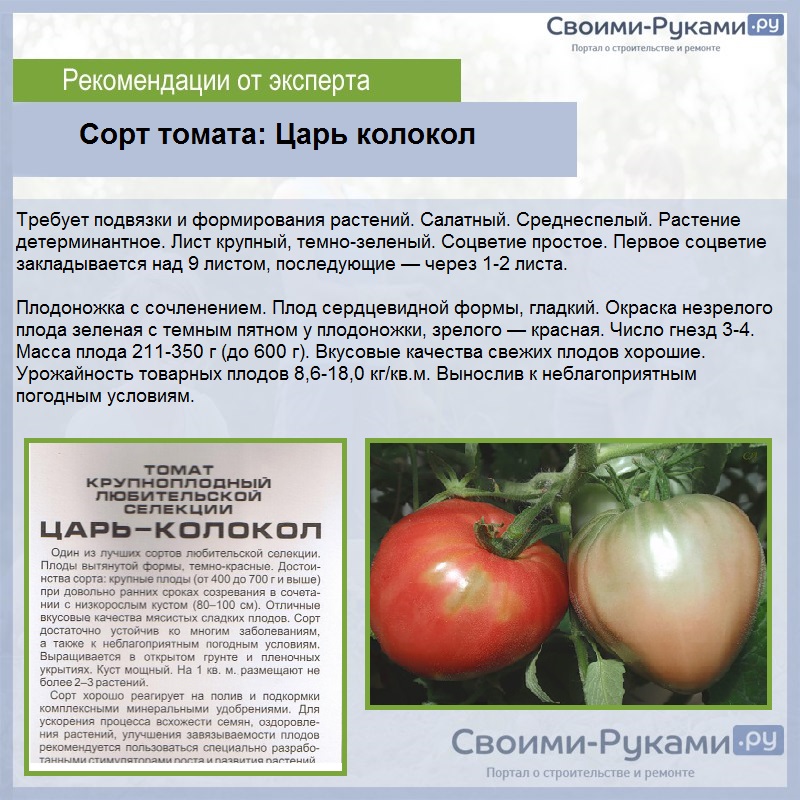 Индетерминантные и детерминантные сорта томатов: отличие помидоров, конкретные названия сортов и их характеристики