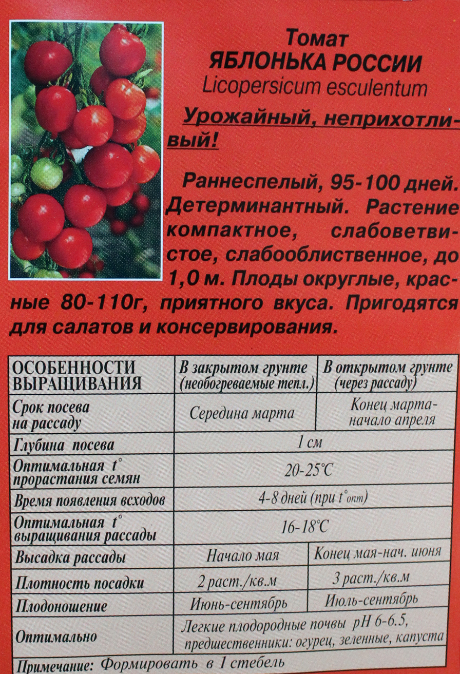 Посадка и выращивание томатов: агротехника выращивания рассады томатов в теплице и открытом грунте