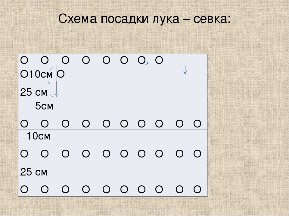 Схема посадки гороха