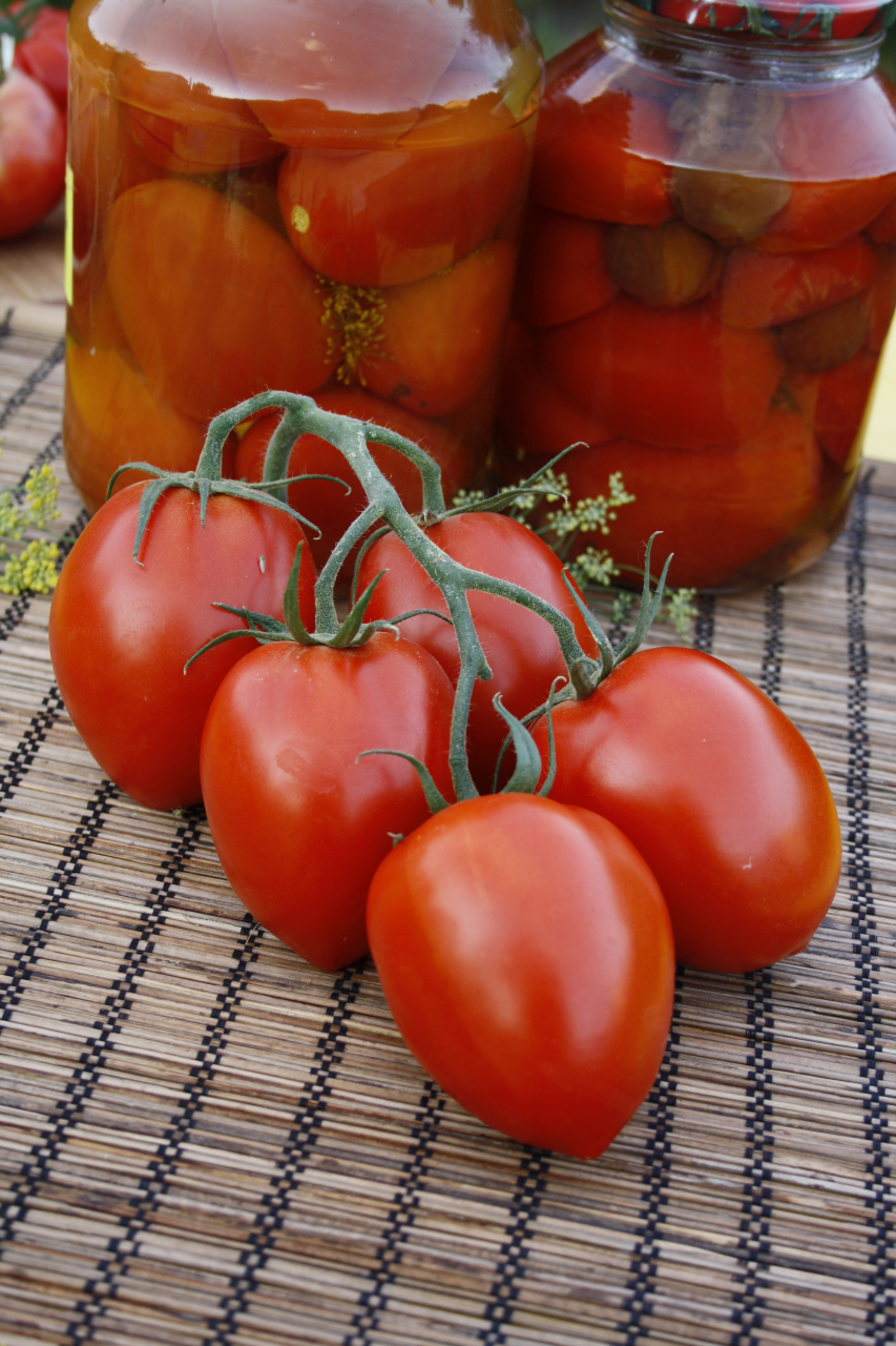 Сорта помидоров для засолки и консервирования: описание лучших с фото