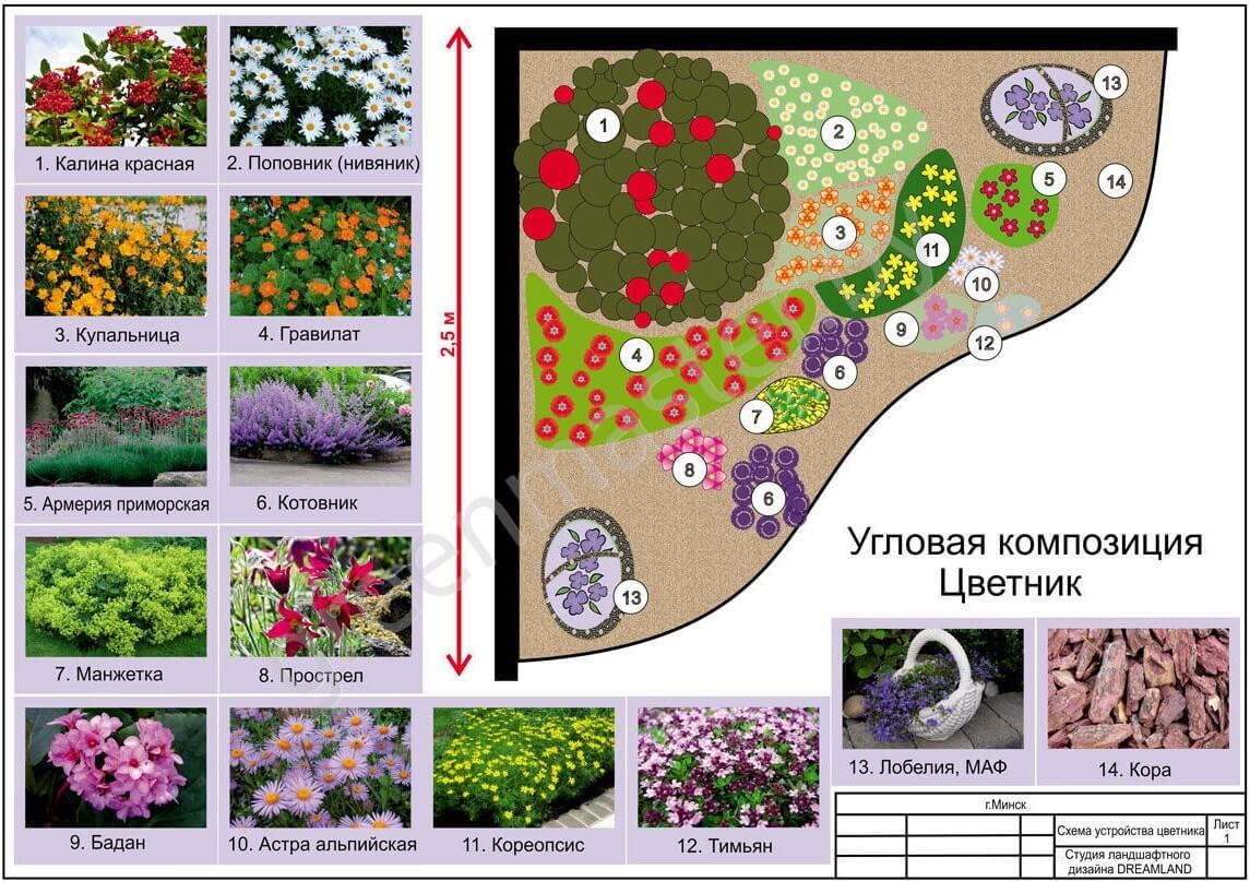 Схема клумбы: виды клумб, варианты сочетания растений, как составить схему рассадки цветов