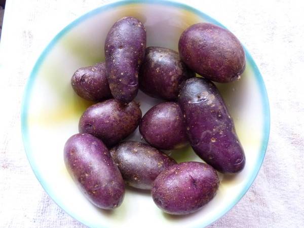 17 лучших желтых сортов картофеля с желтой мякотью и кожурой: описание и фото