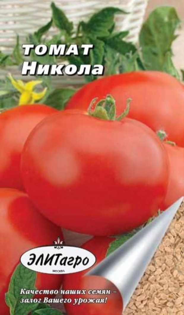 Никола сорт томатов
