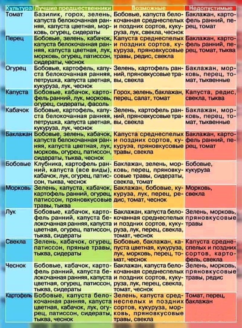 Совместимость на грядке овощных культур и зелени схема посадки