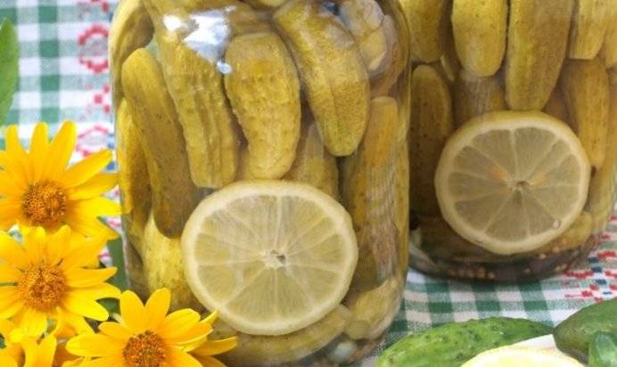 Хрустящие маринованные огурцы с лимоном: рецепты на зиму, способы маринования в банках с лимонной долькой