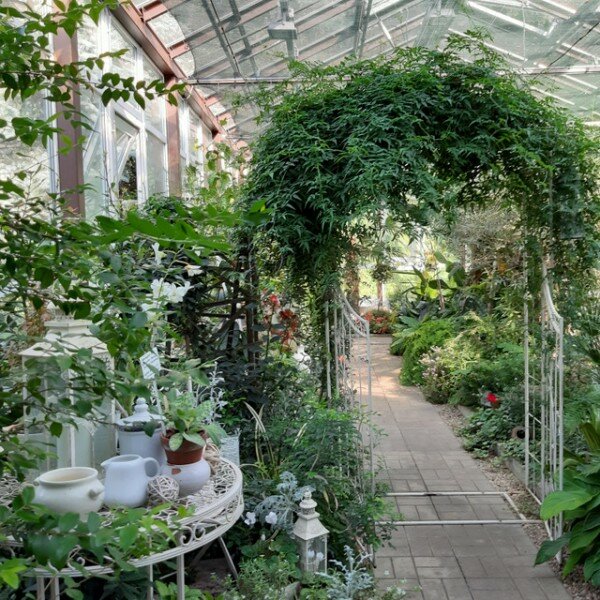 Wikizero - ботанический сад твгу