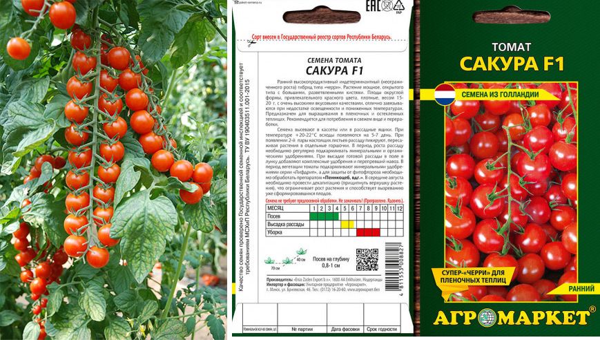 Семена томат филиппок : описание сорта, фото. купить с доставкой или почтой россии.