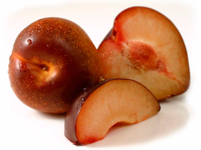 Дерево шарафуга (гибрид персика, сливы и абрикоса): посадка и уход, фото и видео