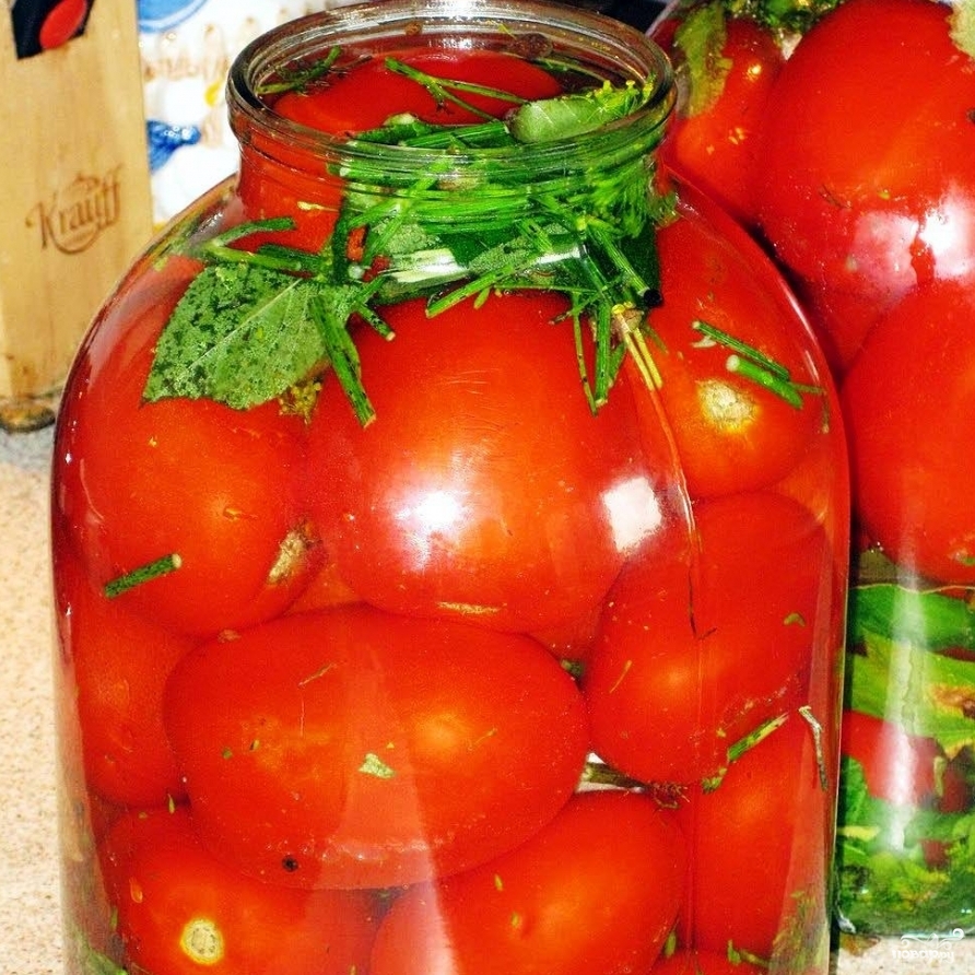 Лучшие сорта томатов для засолки и консервирования - 25 сортов с фото и отзывами дачников