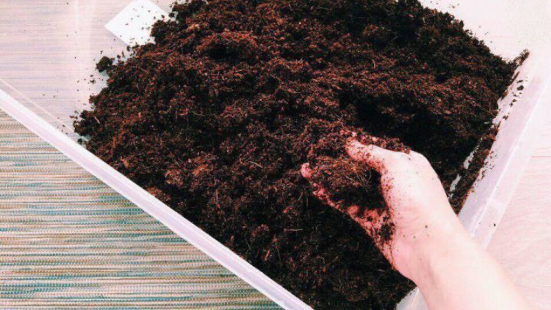 Как правильно подготовить почву для выращивания рассады: состав, видео обработки и обеззараживание грунта