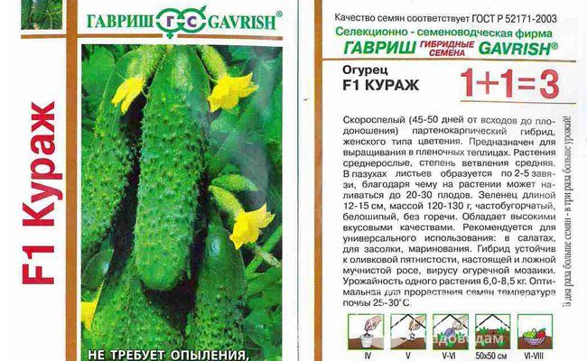 Огурец лилипут f1: отзывы и фотографии, описание и характеристики сорта, урожайность