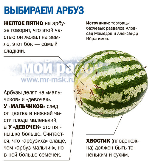 Со скольки месяцев можно арбуз. Схема посадки арбуза. Как выбрать Арбуз. Созревание арбузов. Зрелость арбуза на грядке.