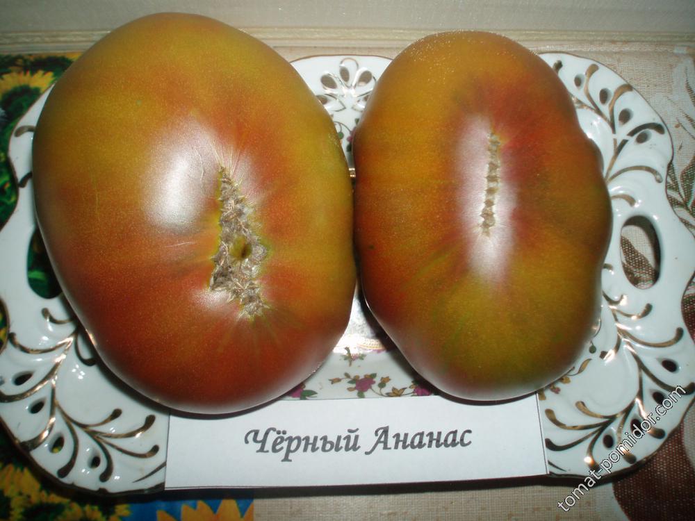 Томат гавайский ананас - описание и характеристика сорта