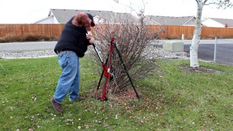 Как удалить поросль деревьев с участка - умный дачник