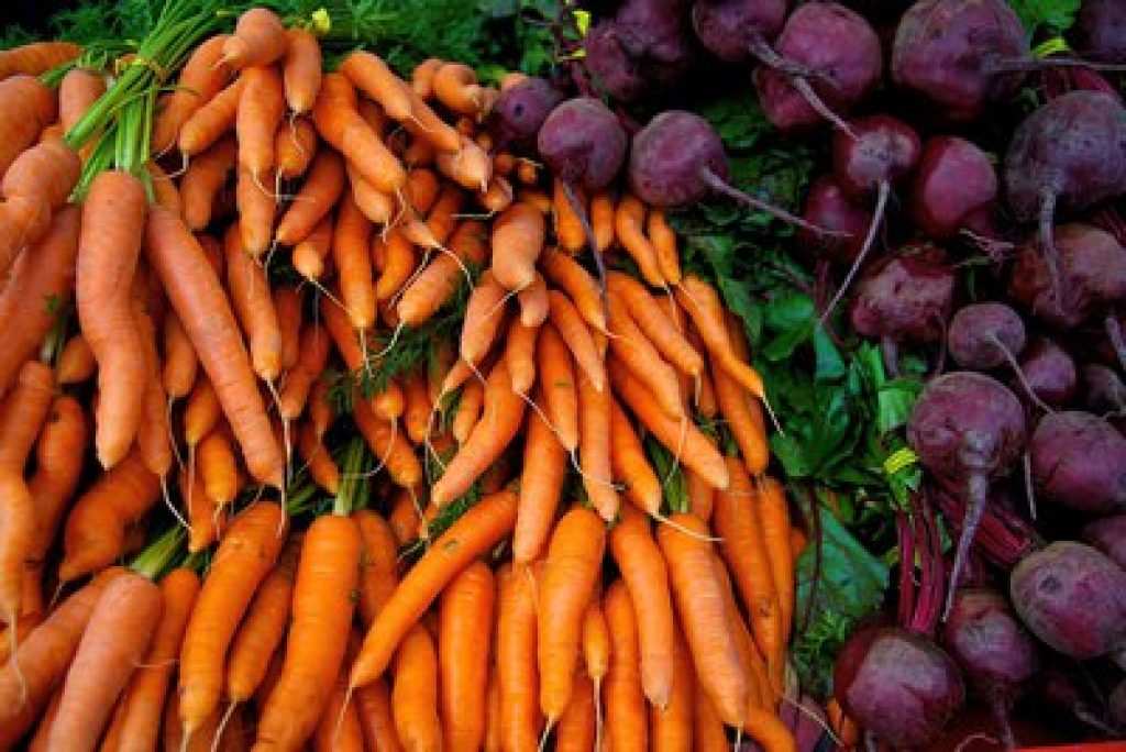 Когда убирать морковь с грядки на хранение?