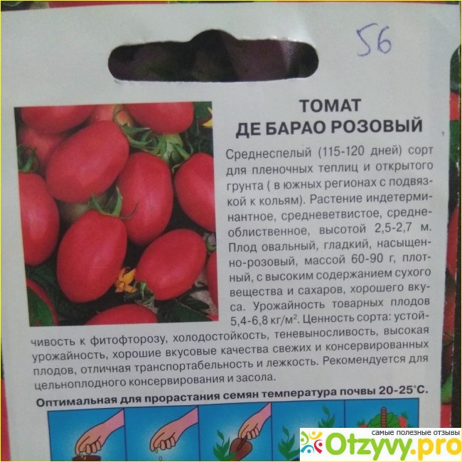 Характеристика и описание помидор сорта Де Барао, урожайность и выращивание