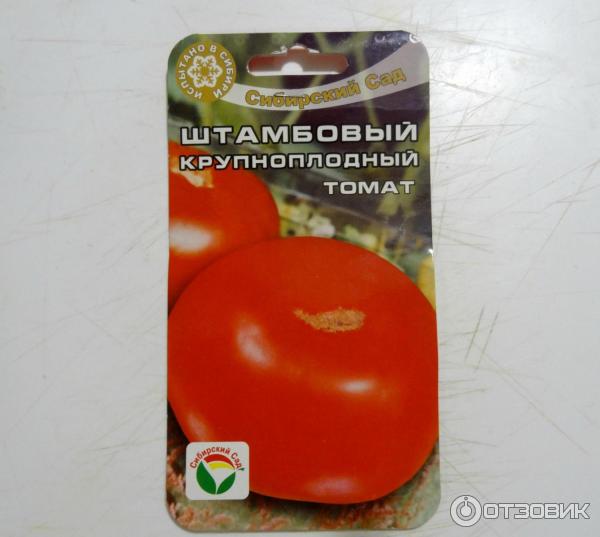 Томат "аврора f1": описание сорта, рекомендации по уходу и выращиванию, применимость плодов-помидор русский фермер
