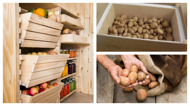 Советы дачников: как хранить картошку в квартире