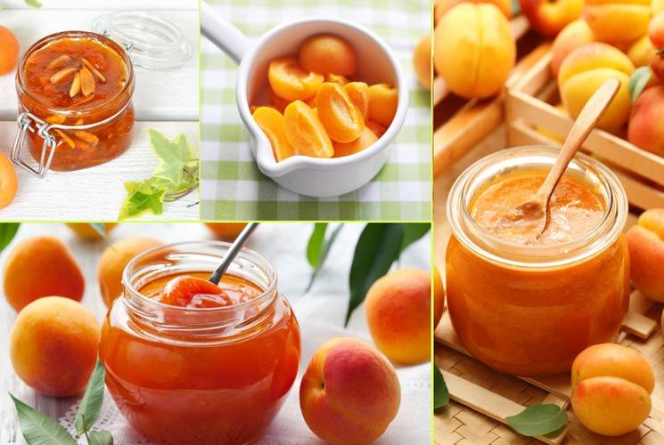 Вкусные рецепты заготовок абрикосов на зиму