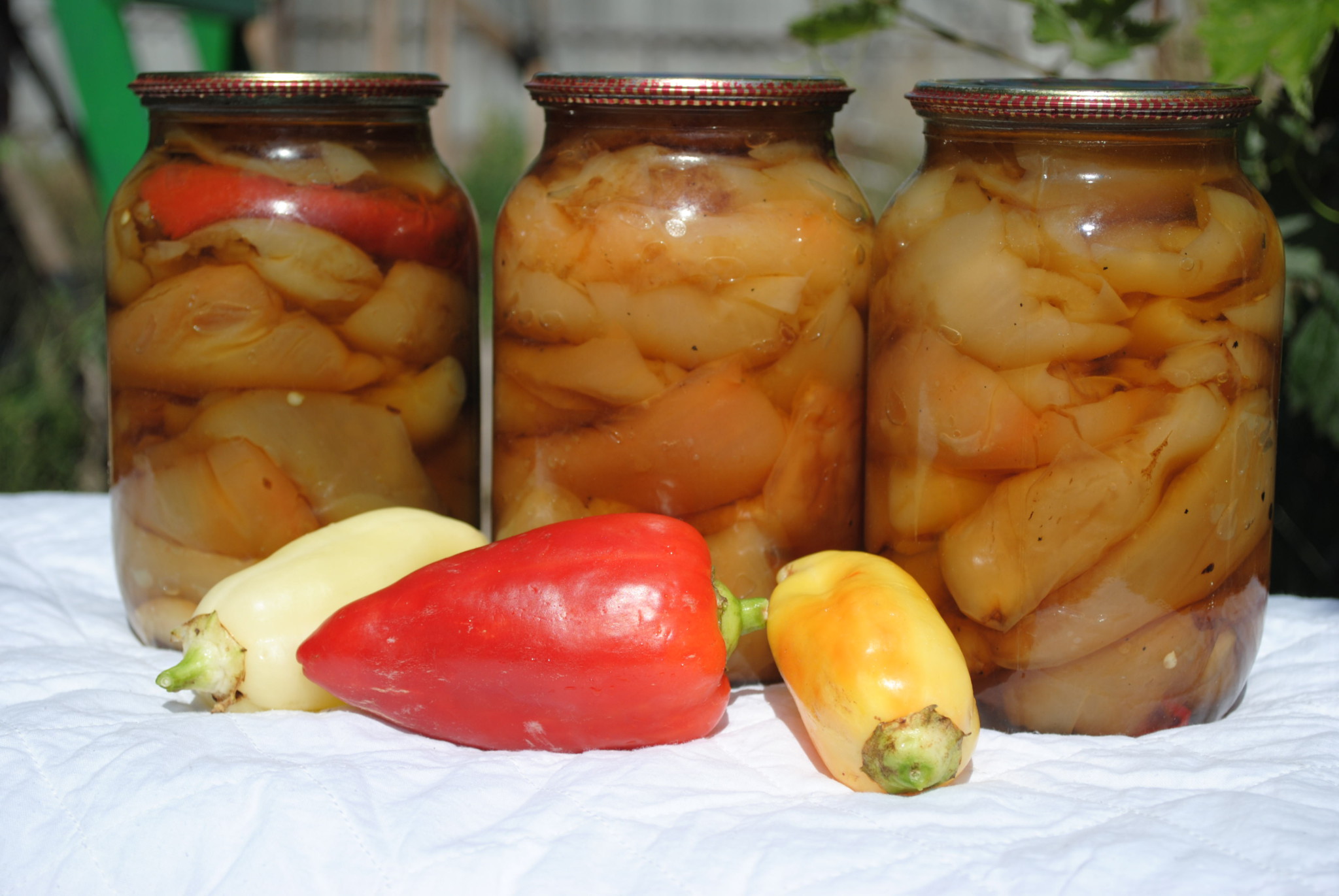 Перец маринованный в масле на зиму: простые рецепты для болгарского и острого овоща