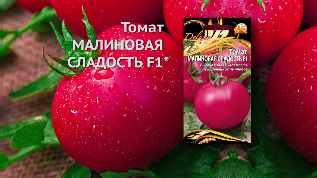 Описание томата Малиновая сладость и его характеристика, особенности выращивания