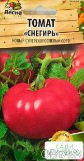 Характеристика и описание сорта томата снегирь, его урожайность - всё про сады
