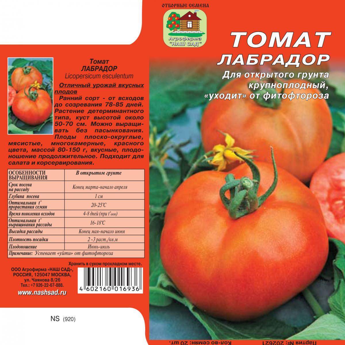 Лучшие сорта томатов для подмосковья: урожайные и устойчивые к болезням