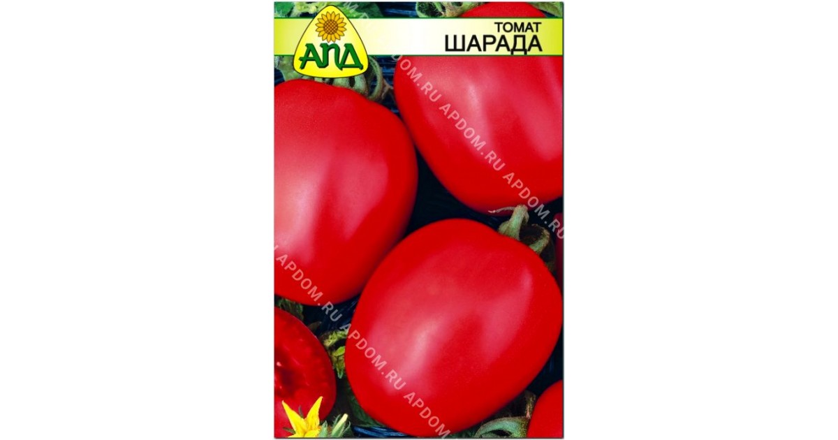 Описание сорта томата шарада, его характеристика и урожайность – дачные дела